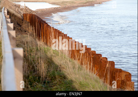 Acciaio palancole costruito come una difesa costiera rapida erosione costa del Mare del Nord, Est Lane, Bawdsey, Suffolk, Inghilterra, Regno Unito Foto Stock