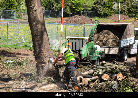 Bristol, Regno Unito. 27 apr, 2015. Un vecchio albero di quercia, che fu occupato dai manifestanti per diverse settimane prima che essi erano stati sfrattati, è abbattuto come si guarda da dietro un muro di sicurezza. Belinda Faulkes di risalita, il gruppo che ha cercato di proteggere il verde-campo sito, descritto come un "annuncio il giorno". Questa parte del Metrobus di sviluppo è stata controversa in un anno che Bristol è la capitale verde europea. Bristol, Regno Unito. Il 27 aprile 2015. Credito: Fotografia Redorbital/Alamy Live News Foto Stock