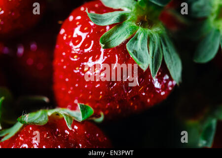 Fragole mature close up. Macro estreme. Messa a fuoco selettiva. Profondità di campo. Foto Stock