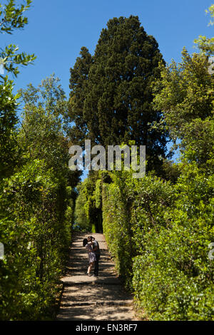 L'Italia, Firenze, coppia romantica baciare tra alberi Foto Stock