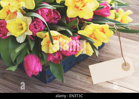 Fiori di primavera con confezione regalo Foto Stock