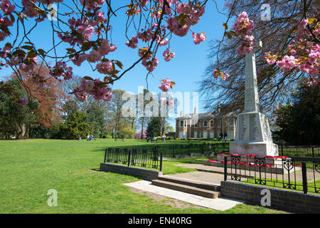 La molla a Arnot Hill Park in Arnold, Nottingham Nottinghamshire England Regno Unito Foto Stock