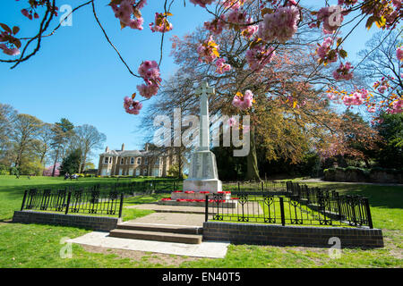 La molla a Arnot Hill Park in Arnold, Nottingham Nottinghamshire England Regno Unito Foto Stock