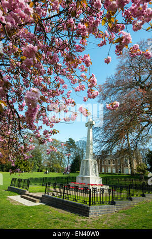 La molla a Arnot Hill Park in Arnold, Nottingham Nottinghamshire England Regno Unito Foto Stock