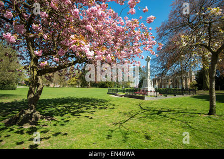 La molla a Arnot Hill Park in Arnold, Nottingham Nottinghamshire England Regno Unito Foto Stock