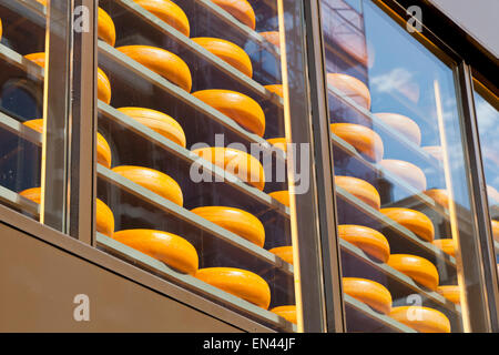 Henri Willig Formaggio e più shop Leidsestraat 52 1017 Amsterdam Paesi Bassi Foto Stock