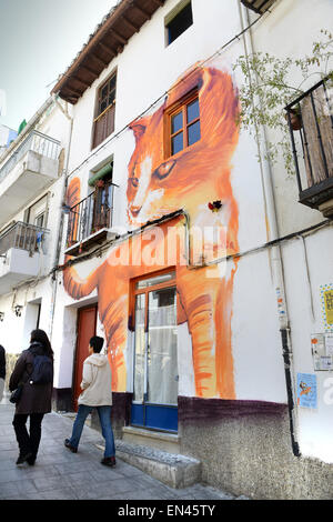 La verniciatura del gatto sulla casa Graffiti in Granada Spagna spagnolo street art pittura Foto Stock