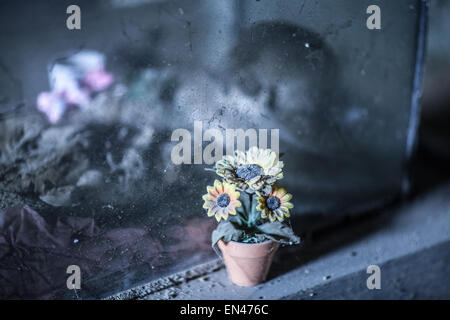 Cranio nel cimitero di fontane, Napoli Foto Stock