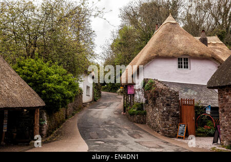 Vicolo del paese nel Devon con cottage con il tetto di paglia Foto Stock