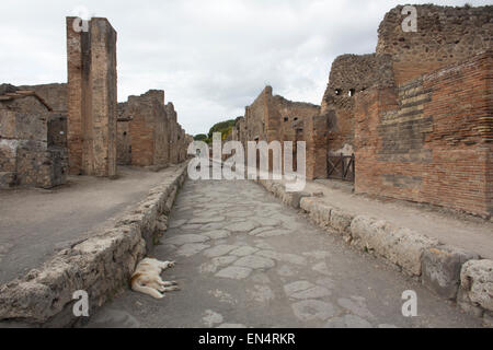 Quasi duemila anni fa la città di Pompei fu distrutta da una eruzione del Vesuvio. 20.000 residenti di Pompei e i 4.000 cittadini di Ercolano è morto. Foto Stock