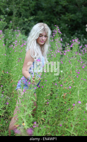 Bella giovane donna con capelli lunghi biondi in erba lunga Foto Stock