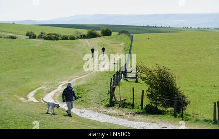 Brighton Regno Unito 28 aprile 2015 - i camminatori e corridori godetevi il sole di primavera meteo sulla South Downs Way a Ditchling Beacon appena a nord di Brighton questa mattina Foto Stock