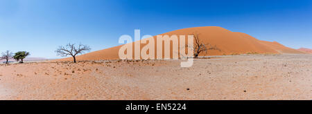 Ampio panorama delle Dune 45 in sossusvlei Namibia, vista dalla cima di una duna, posto migliore in Namibia Foto Stock