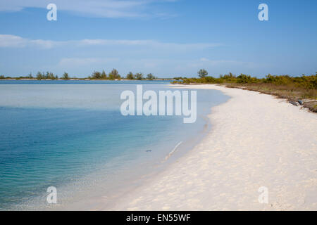 Tropicale con spiaggia di sabbia bianca di fronte al mare Foto Stock