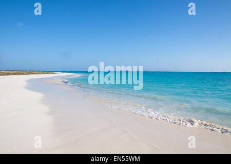 Tropicale con spiaggia di sabbia bianca di fronte al mare Foto Stock