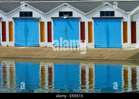 Boatsheds, Clyde Quay Marina, Wellington, Isola del nord, Nuova Zelanda Foto Stock