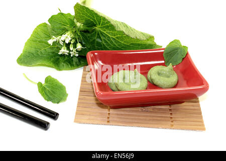 Wasabi con bacchette, le foglie e i fiori in un vaso rosso Foto Stock