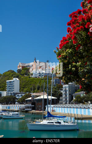 Pohutukawa albero in fiore e Boatsheds, Clyde Quay Marina, Wellington, Isola del nord, Nuova Zelanda Foto Stock