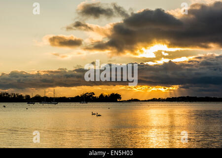 Bosham canale su un pomeriggio inverni, Bosham, West Sussex, in Inghilterra, Regno Unito. Foto Stock