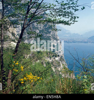 Unterwegs auf der Uferstraße Gardesana, gardasee, Italien 1970er Jahre. La guida su riverside strada Gardesana, Lago di Garda, Ita Foto Stock