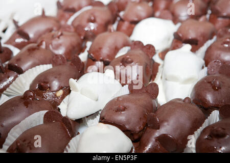 Vassoio con carichi di deliziosi dolci Portoghesi. Lisbona, Portogallo Foto Stock