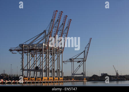 DP World container dal porto di Southampton Docks Foto Stock