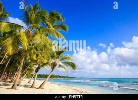 Splendida spiaggia caraibica sull'isola di Saona, Repubblica Dominicana Foto Stock