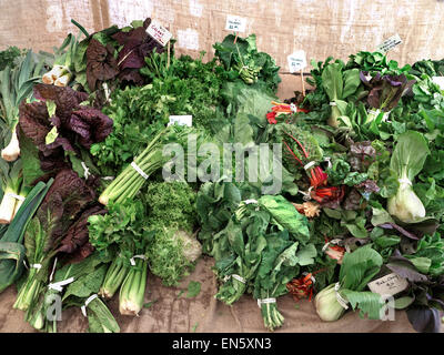 Semplice fresche biologiche display verdi al Mercato degli Agricoltori Embarcadero San Francisco California USA Foto Stock