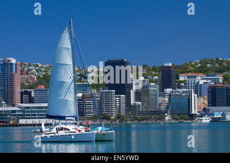 Catamarano Megisti, Porto di Wellington e il CBD, Wellington, Isola del nord, Nuova Zelanda Foto Stock