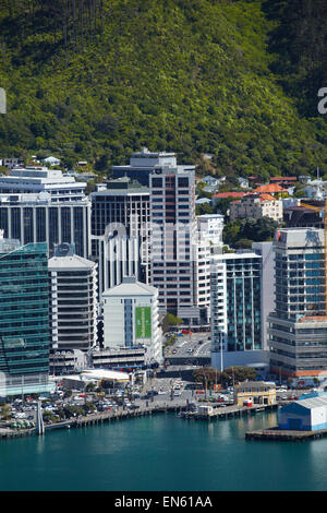 Wellington CBD, Waterfront, e Te Ahumairangi Hill (Tinakori Hill), visto dal Monte Victoria Lookout, Wellington, Nuova Zelanda Foto Stock