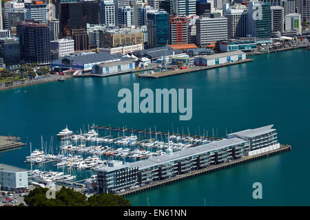 Vista del CBD di Wellington, porto e crivelli superiori Marina, dal Monte Victoria Lookout, Wellington, Isola del nord, Nuova Zelanda Foto Stock