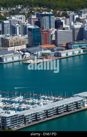 Vista del CBD di Wellington, porto e crivelli superiori Marina, dal Monte Victoria Lookout, Wellington, Isola del nord, Nuova Zelanda Foto Stock