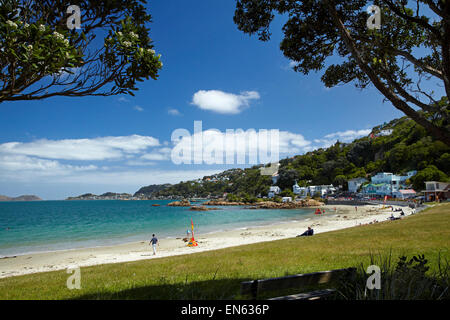 Bruciante e baia del porto di Wellington, Wellington, Isola del nord, Nuova Zelanda Foto Stock