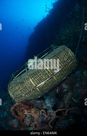 Tradizionali di pesca di bambù trappola sulla barriera corallina dall isola di Pura in Alor Indonesia Foto Stock