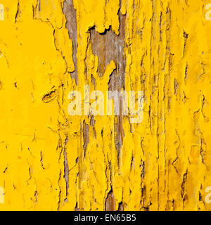 Angoscia vernice gialla Foto Stock