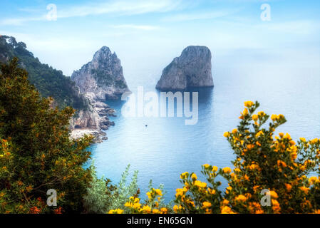 Faraglioni di Capri, Napoli, campania, Italy Foto Stock