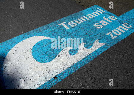 Tsunami zona sicura segno, Wellington, Isola del nord, Nuova Zelanda Foto Stock