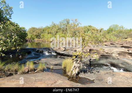 Poco Mertens caduta, Mitchell Plateau, Kimberley, Western Australia, WA, Australia Foto Stock