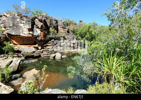 Big Mertens Falls, Mitchell Plateau, Kimberley, Australia occidentale Foto Stock