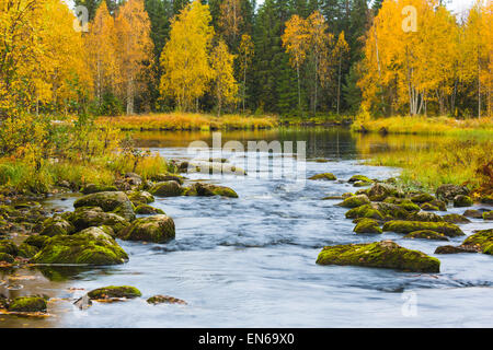 Creek in esecuzione in un piccolo lago con le betulle in giallo i colori autunnali intorno ad esso, Kuhmo, in Finlandia Foto Stock