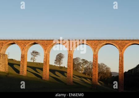 Leaderfoot viadotto sul fiume Tweed vicino a Melrose in confini scozzesi a sunrise. Scozia Foto Stock