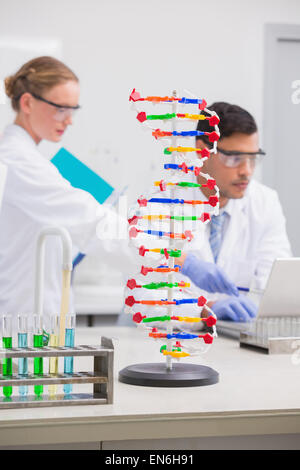 Gli scienziati che lavorano su laptop insieme Foto Stock