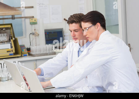 Gli scienziati che lavorano con attenzione con il computer portatile Foto Stock