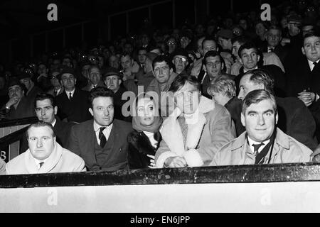 Richard Burton ed Elizabeth Taylor a guardare una partita di rugby. Il 15 gennaio 1965. Foto Stock