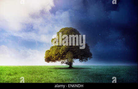 Il giorno e la notte in scena con struttura ad albero Foto Stock