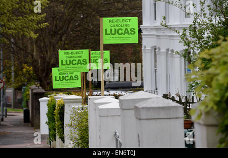 Brighton, Regno Unito. Il 29 aprile, 2015. Un forte sostegno per Caroline Lucas del Partito Verde in Beaconsfield zona ville di Brighton dove ella è in piedi per la rielezione come MP nel Padiglione di Brighton circoscrizione. Credito: Simon Dack/Alamy Live News Foto Stock