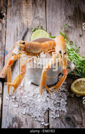 Materie scampi su ghiaccio con erbe e limone servita in metallo vintage cup su sfondo di legno Foto Stock
