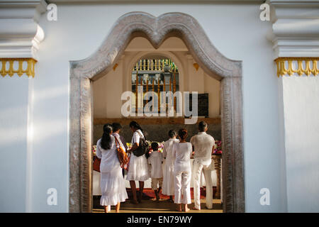 Pellegrini portano Offerte per lo Sri Maha Bodhi in Anuradhapura, Sri Lanka. Foto Stock