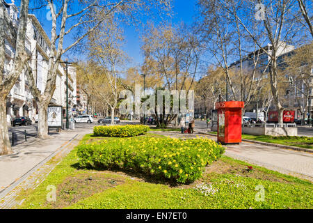 Lisbona portogallo primavera alberi e aiuole fiorite in Avenida da Liberdade Foto Stock