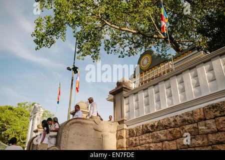 Sri Maha Bodhi, un importante religiosa buddista, sito in Anuradhapura, Sri Lanka. Foto Stock